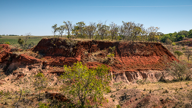 Diamond-bearing sediments at the abandoned Romaria mine Diamond-bearing sediments at the abandoned Romaria mine