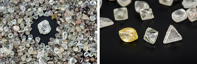 Brazilian diamond crystals from primary deposits. Figure B-2. Left: A selection of rough Brazilian diamonds, 262 carats total, photographed in Antwerp. The crystal at the center weighs 7.46 ct. The diamonds are from the Braúna kimberlite field near Nordestina. Right: These larger diamond crystals from the Lipari mine include a 3.87 ct resorbed yellow crystal, a 3.49 ct octahedral crystal, and a 2.94 ct macle. Photos by Robert Weldon/GIA, courtesy of Aftergut N. & Zonen and Lipari Mineração Ltda.