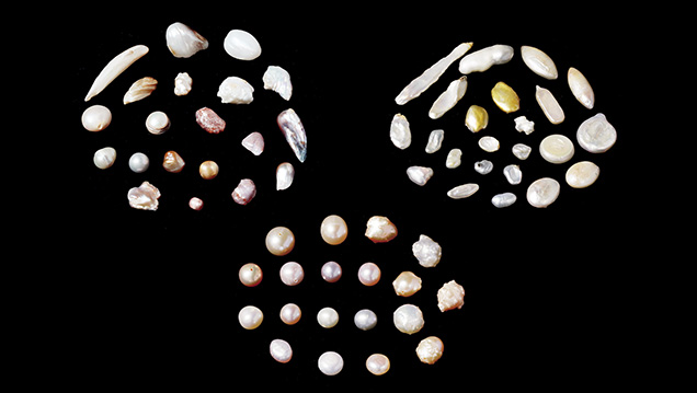 Freshwater pearl samples Freshwater pearl samples