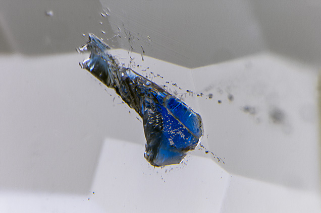 Blue lazurite in a light gray spinel. Blue lazurite in a light gray spinel.