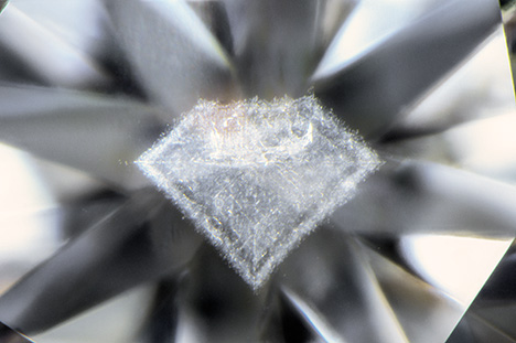 Cloud inclusion resembling the profile of a faceted diamond.