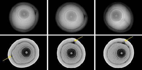 Figure 2. Top: RTX images in three directions of the non-bead cultured pearl used as a “bead” with a distinct demarcation and an organic tail-like feature in pearl A. Bottom: μ-CT scans of pearl A. The tail feature is indicated by a yellow arrow. Figure 2. Top: RTX images in three directions of the non-bead cultured pearl used as a “bead” with a distinct demarcation and an organic tail-like feature in pearl A. Bottom: μ-CT scans of pearl A. The tail feature is indicated by a yellow arrow.