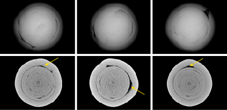 Figure 3. Top: RTX images in three directions of a natural pearl used as a “bead” with a clear demarcation and an organic tail-like feature in pearl B. Bottom: μ-CT scans of pearl B. The tail feature is indicated by a yellow arrow. Figure 3. Top: RTX images in three directions of a natural pearl used as a “bead” with a clear demarcation and an organic tail-like feature in pearl B. Bottom: μ-CT scans of pearl B. The tail feature is indicated by a yellow arrow.