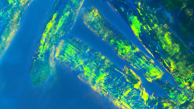 Figure 2. Unique blocky brush strokes of play-of-color in the Australian black opal. Photomicrograph by Jessa Rizzo; field of view 7.19 mm.