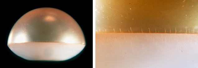 Figure 2. Left: Side view of assembled freshwater bead cultured half-pearl showcasing the nacre dome top and shell backing. Right: Vertical fractures on the pinkish orange half. Photomicrographs by Kendra Carty; fields of view 16.57 mm (left) and 4.47 mm (right). Figure 2. Left: Side view of assembled freshwater bead cultured half-pearl showcasing the nacre dome top and shell backing. Right: Vertical fractures on the pinkish orange half. Photomicrographs by Kendra Carty; fields of view 16.57 mm (left) and 4.47 mm (right).