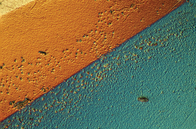 CVD film shows irregular texture CVD film shows irregular texture