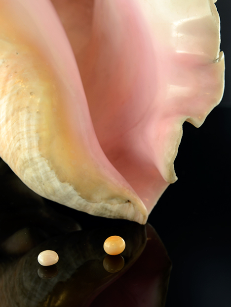 Two of the eight studied nonbead-cultured pearls. Two of the eight studied nonbead-cultured pearls.