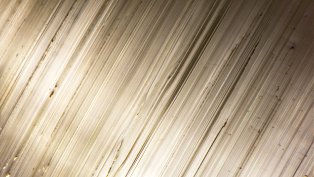 Growth tubes causing the chatoyancy in the bicolor tourmaline.