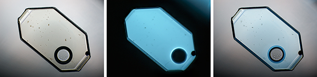 A tabular negative crystal in quartz photographed with diffuse transmitted light, long-wave ultraviolet light, and a combination of visible and long-wave UV light. A tabular negative crystal in quartz photographed with diffuse transmitted light, long-wave ultraviolet light, and a combination of visible and long-wave UV light.