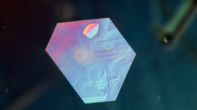 Differential interference contrast image of subsurface inclusions of platy hexagonal metal sulfide in rock crystal quartz. Differential interference contrast image of subsurface inclusions of platy hexagonal metal sulfide in rock crystal quartz.