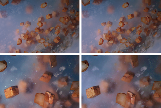 Removal of dust spots using image editing software such as Adobe Photoshop. Removal of dust spots using image editing software such as Adobe Photoshop.
