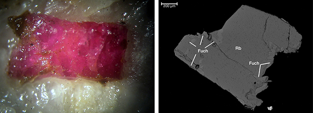 A photomicrograph of a ruby and green fuchsite intergrowth and a backscattered electron image of solid fuchsite inclusions in ruby, both from Snezhnoe, Tajikistan A photomicrograph of a ruby and green fuchsite intergrowth and a backscattered electron image of solid fuchsite inclusions in ruby, both from Snezhnoe, Tajikistan