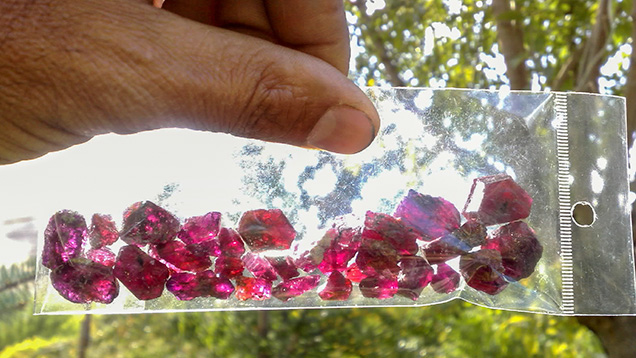 Rough ruby crystals from Snezhnoe, Tajikistan Rough ruby crystals from Snezhnoe, Tajikistan