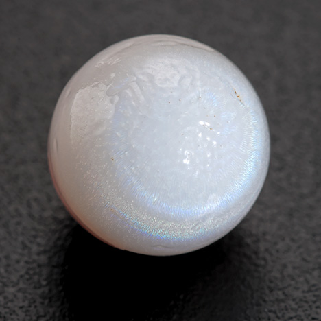 Spondylus pearl with reflective blue coloration. Spondylus pearl with reflective blue coloration.