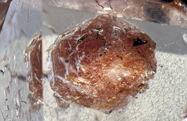 The inclusion is identified as triplite.. Figure 2. A combination of Raman and EDXRF analysis served to identify the inclusion as triplite. The inclusion is seen here using brightfield and fiberoptic illumination. Photomicrograph by Nathan Renfro; field of view 9.39 mm.