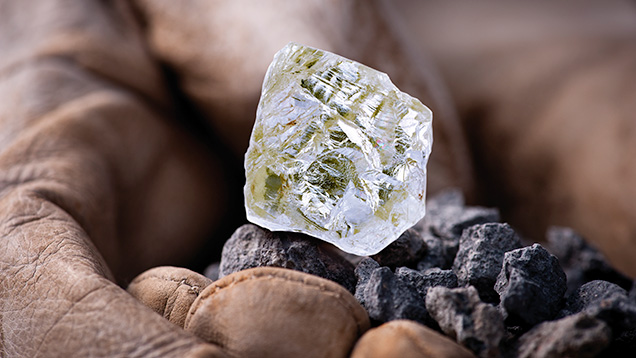 The 187.7 ct Diavik Foxfire diamond The 187.7 ct Diavik Foxfire diamond