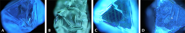 DiamondView images of Diavik diamonds. Figure 28. DiamondView imaging showed mostly uniform blue fluorescence (A). Seven “hopper”-form diamonds showed predominantly green fluorescence (B), and a few crystals showed green luminescence from H3 optical defects in linear patterns (C). Both fibrous coatings and interiors of coated diamonds (where parts of the coating are missing) fluoresced blue (D). Images by Kyaw Soe Moe.