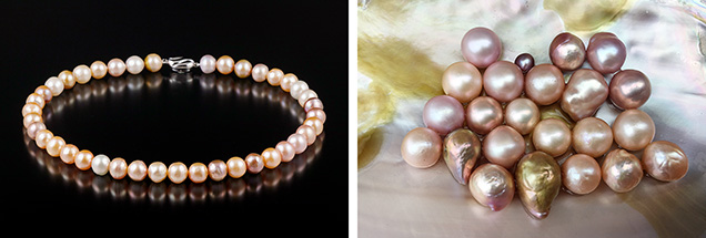 Kasumigaura pearl necklace and recently harvested nucleated pearls Kasumigaura pearl necklace and recently harvested nucleated pearls