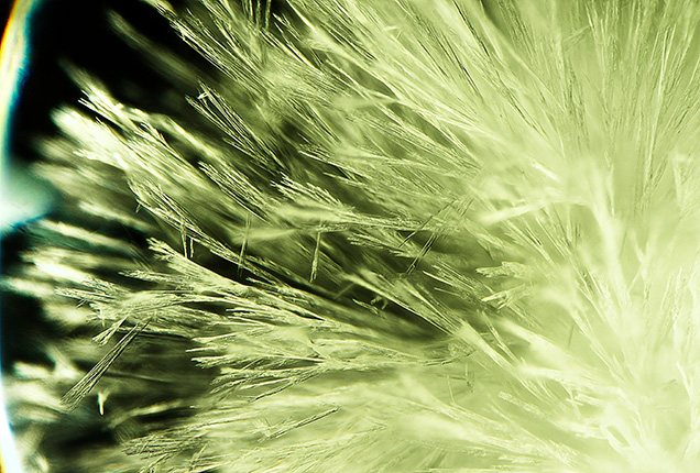 Close-up view of the wollastonite crystals. Close-up view of the wollastonite crystals.