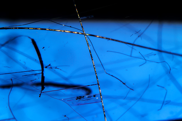 Merelaniite whisker inclusions in tanzanite. Merelaniite whisker inclusions in tanzanite.