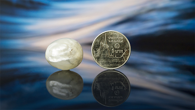 A 28.49 ct pearl next to a Thai one-baht coin for reference. A 28.49 ct pearl next to a Thai one-baht coin for reference.