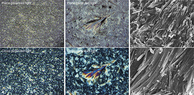 Polarized optical and SEM images of black nephrite from Guangxi Polarized optical and SEM images of black nephrite from Guangxi