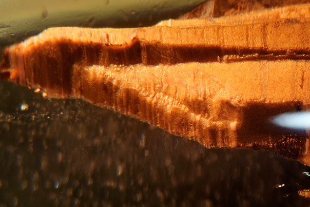 This brown negative crystal has an irregular shape. This brown negative crystal has an irregular shape.