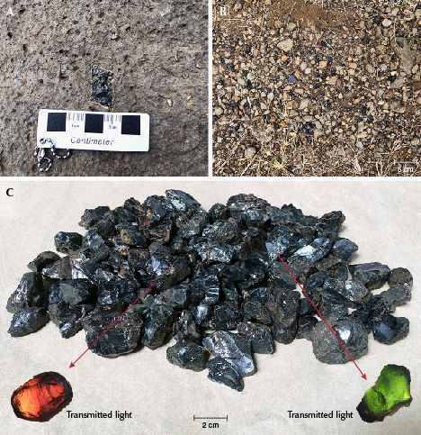 Figure 4. Augite is abundant in Dong Nai Province and easy to collect. A: Augite hosted by basalt. B: Augite buried in laterite soil. C: Samples obtained during the field trips, which appear black under reflected light before revealing an orangy brown or a green color when observed in transmitted light. Photos by Lam Vinh Phat. Figure 4. Augite is abundant in Dong Nai Province and easy to collect. A: Augite hosted by basalt. B: Augite buried in laterite soil. C: Samples obtained during the field trips, which appear black under reflected light before revealing an orangy brown or a green color when observed in transmitted light. Photos by Lam Vinh Phat.
