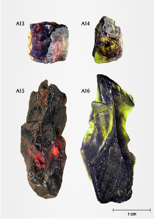 Figure 6. Rough augite samples before grinding and polishing for XRD (A13 and A14) and EPMA (A15 and A16), shown in transmitted light. Photos by Pham Minh Tien. Figure 6. Rough augite samples before grinding and polishing for XRD (A13 and A14) and EPMA (A15 and A16), shown in transmitted light. Photos by Pham Minh Tien.