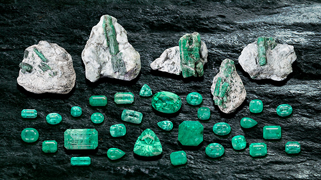 Figure 1. Emeralds in matrix and various cut stones from the Curlew mine in Western Australia. All stones were mined in 2023. The cut stones are untreated and range from 0.45 to 7.92 ct (triangular shape). Photo by Lhapsin Nillapat; courtesy of Matthew Allen (The Gemstone Trading Company).