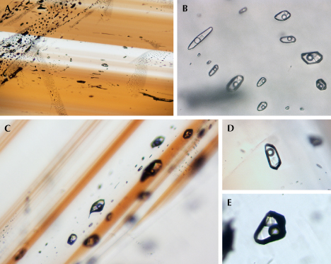 Figure 16. Fluid inclusions in cassiterite samples from Yunling. A and B: Fluid inclusions in healed fractures within samples C-G7 and C-G5, respectively. C: In sample C-G22, fluid inclusions occur parallel to the color bands. D and E: Representative three-phase inclusions in sample C-G24 show a cubic daughter mineral, a bubble, and a fluid phase. Photomicrographs by Wenqing Huang; fields of view 2.54 mm (A), 0.22 mm (B), 0.53 mm (C), 0.20 mm (D), and 0.15 mm (E). Image B was taken under transmitted light and enhanced with focus stacking techniques.
