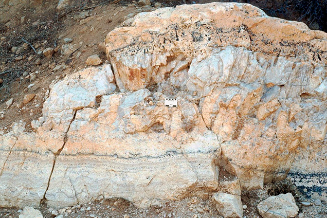 Figure 2. Exposed cross section of a zoned pegmatite dike consisting of large tan K-feldspar crystals below a central white quartz core; a mixture of Na-feldspar, quartz, and tourmaline grains above the core; and banded fine-grained minerals (known as “line rock”) along the base. This photo was captured in 1979 at the San Diego mine near Mesa Grande in San Diego County, California. Courtesy of David London. Figure 2. Exposed cross section of a zoned pegmatite dike consisting of large tan K-feldspar crystals below a central white quartz core; a mixture of Na-feldspar, quartz, and tourmaline grains above the core; and banded fine-grained minerals (known as “line rock”) along the base. This photo was captured in 1979 at the San Diego mine near Mesa Grande in San Diego County, California. Courtesy of David London.