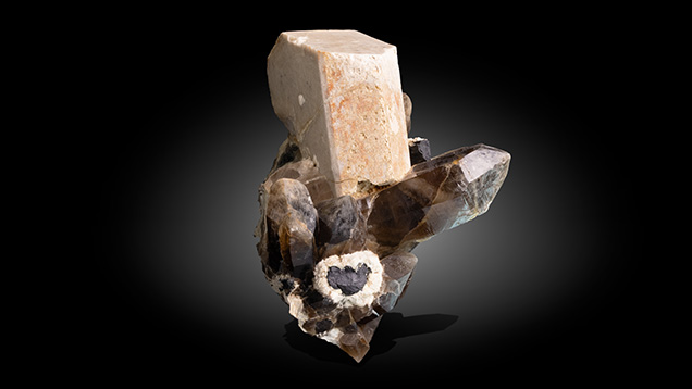 Figure 9. Large microcline crystal with smoky quartz, albite feldspar, and tourmaline from the Oceanview mine near Pala in San Diego County, California. The specimen measures 46 × 30 × 30 cm and the microcline crystal 25 × 25 × 13 cm. Photo by Mimi Travis. Figure 9. Large microcline crystal with smoky quartz, albite feldspar, and tourmaline from the Oceanview mine near Pala in San Diego County, California. The specimen measures 46 × 30 × 30 cm and the microcline crystal 25 × 25 × 13 cm. Photo by Mimi Travis.