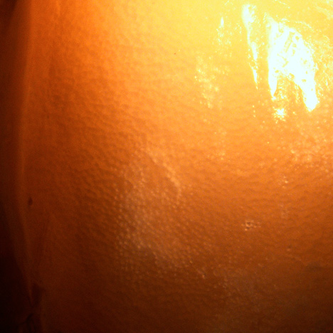 W15-LN-Figure-14_194259-468x468.jpg. Porcelaneous and flame-like structure in larger fossilized blister pearl.