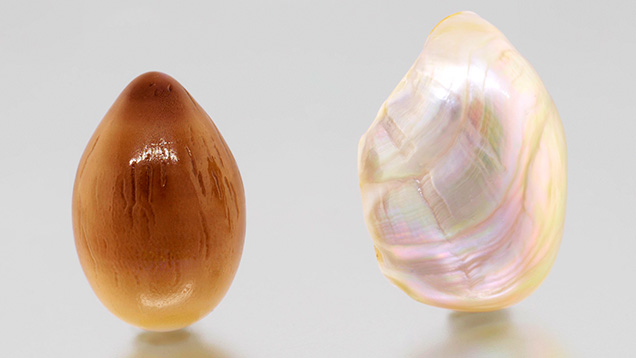 W15-LN-Figure-18_194242-636x358.jpg. Large natural pearls from Spondylus and Trochoidea species mollusks.