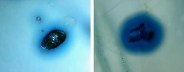 W15-Zwaan-fig8-Comp_194395-636x251.jpg. Blue halos around prismatic rutile in alluvial Montana sapphire