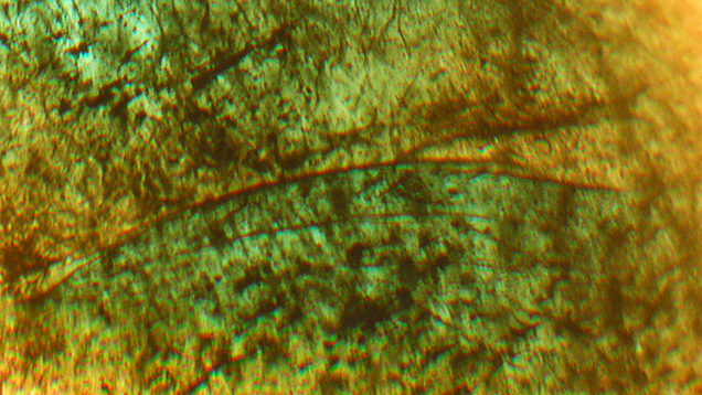 Nacken synthetic emeralds with no colorless seeds Nacken synthetic emeralds with no colorless seeds