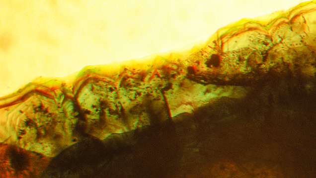 Irregular growth and color zoning in type 1 Nacken synthetic emerald Irregular growth and color zoning in type 1 Nacken synthetic emerald