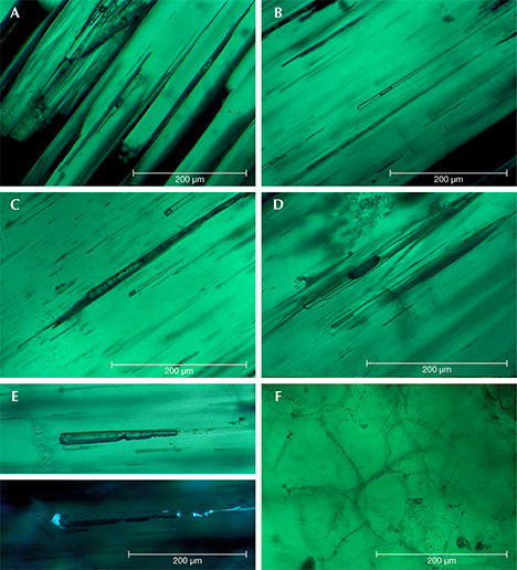 Growth features in type 1 Nacken synthetic emerald Growth features in type 1 Nacken synthetic emerald