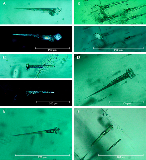 Growth tubes with contraction bubbles in Nacken synthetic emerald Growth tubes with contraction bubbles in Nacken synthetic emerald