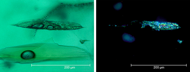 Residual flux in Nacken synthetic emerald Residual flux in Nacken synthetic emerald
