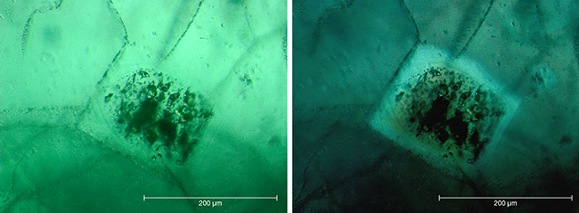 Inclusions of beryl crystals in Nacken synthetic emerald Inclusions of beryl crystals in Nacken synthetic emerald