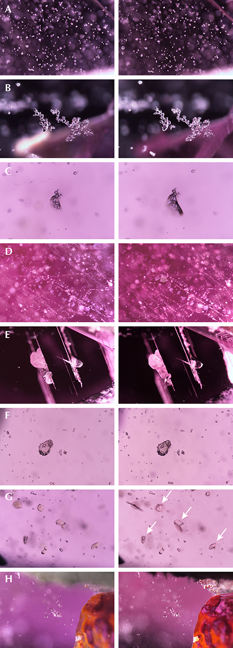 Inclusion scenes in pink sapphire before/after low-temperature heat treatment Inclusion scenes in pink sapphire before/after low-temperature heat treatment