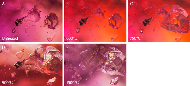 Figure 9. A: In sample 30, the large transparent crystal in the center is spinel, and on the right is a calcite crystal containing liquid CO2. B: The background color has changed dramatically because the color of the stained fissure in the background has altered significantly. The ruby’s bodycolor does not appear to have undergone major change. C: The crystal to the right has exploded, leaving a small surface-reaching hole. On the top left, a glassy discoid can be seen around a small crystal. D: The staining in the background has again changed color. E: Much alteration is visible, with partially healed fissures in several spots. Photomicrographs by E. Billie Hughes; field of view 2 mm.