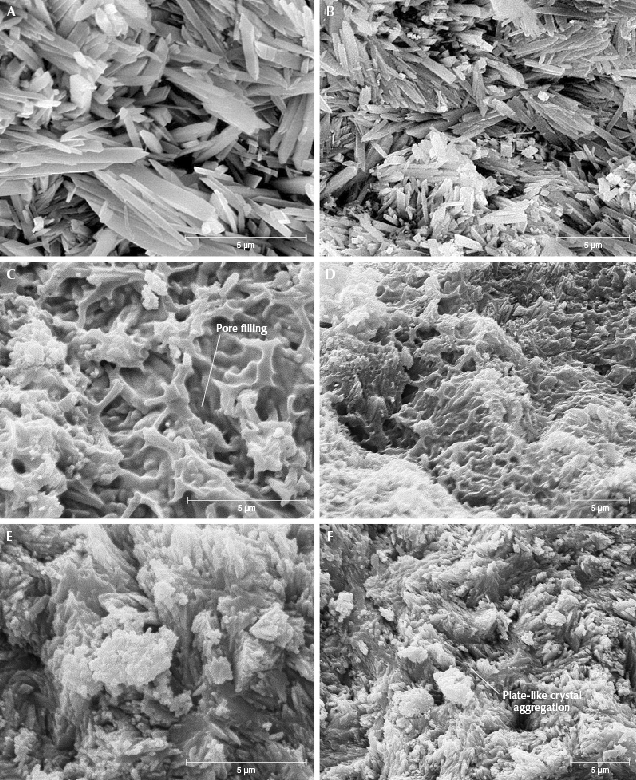Figure 17. Morphological characteristics of untreated and porcelain-treated turquoise. The structure of untreated turquoise (N14) is shown via SEM imaging with 10,000× magnification (A) and 6,000× magnification (B). C and D: Microcrystal boundaries of porcelain-treated turquoise (H3) are blurred and pores are filled by colloidal material. E and F: The microcrystals inside sample H3 are columnar and plate-shaped. Figure 17. Morphological characteristics of untreated and porcelain-treated turquoise. The structure of untreated turquoise (N14) is shown via SEM imaging with 10,000× magnification (A) and 6,000× magnification (B). C and D: Microcrystal boundaries of porcelain-treated turquoise (H3) are blurred and pores are filled by colloidal material. E and F: The microcrystals inside sample H3 are columnar and plate-shaped.