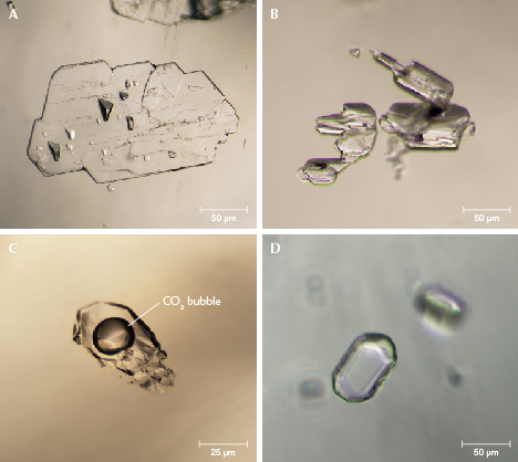 Figure 9. Examples of mineral and fluid inclusions found in Texas topaz: anorthosite (A), albite (B), fluid and melt inclusions (C), and quartz (D). Photomicrographs by Roy Bassoo.