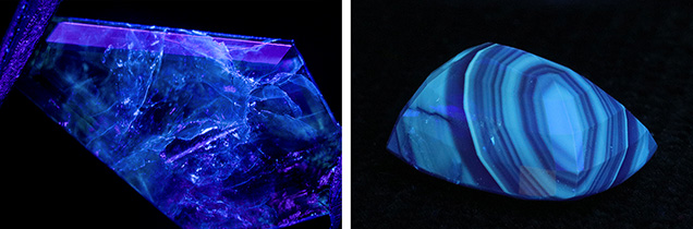 Figure 7. Left: An emerald seen in long-wave UV, highlighting the filled fractures in the stone. Photomicrograph by Nicole Ahline; field of view 19.27 mm. Right: A heated natural blue sapphire emits chalky blue to green fluorescence in short-wave UV. Photo by Nicole Ahline and Jessa Rizzo. Figure 7. Left: An emerald seen in long-wave UV, highlighting the filled fractures in the stone. Photomicrograph by Nicole Ahline; field of view 19.27 mm. Right: A heated natural blue sapphire emits chalky blue to green fluorescence in short-wave UV. Photo by Nicole Ahline and Jessa Rizzo.