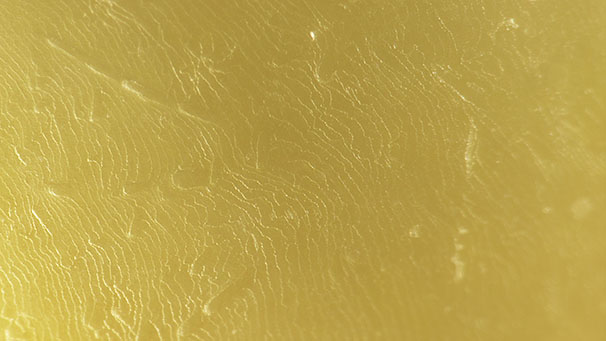 Surface of a Pinctada maxima pearl; field of view 4.79 mm. Surface of a Pinctada maxima pearl; field of view 4.79 mm.