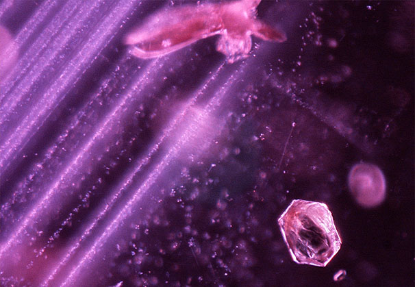 Angular particle clouds associated with white hexagonal mica crystals and amphiboles; field of view 1.42 mm. Angular particle clouds associated with white hexagonal mica crystals and amphiboles; field of view 1.42 mm.