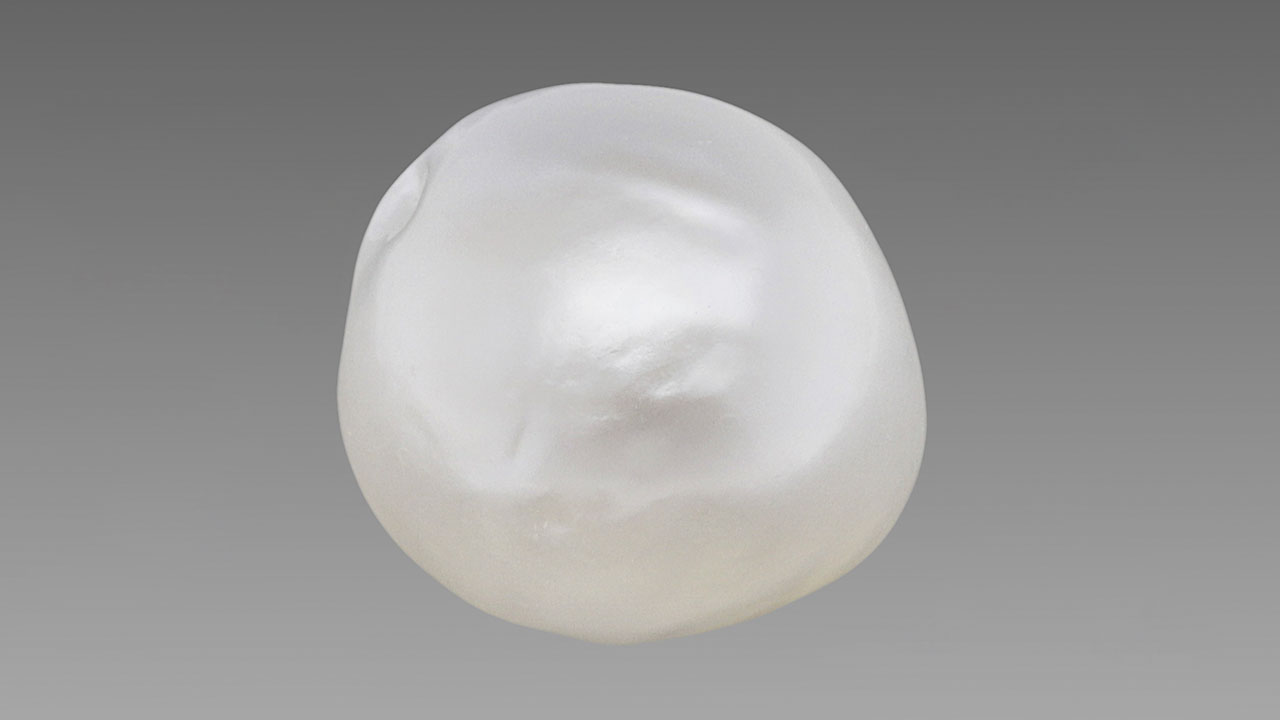 Figure 1. An 8.98 ct white semi-baroque cultured pearl measuring 11.31 × 10.75 × 10.30 mm exhibiting dents and wrinkles on its surface. Photo by Hemal Trivedi. Figure 1. An 8.98 ct white semi-baroque cultured pearl measuring 11.31 × 10.75 × 10.30 mm exhibiting dents and wrinkles on its surface. Photo by Hemal Trivedi.